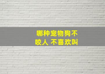 哪种宠物狗不咬人 不喜欢叫